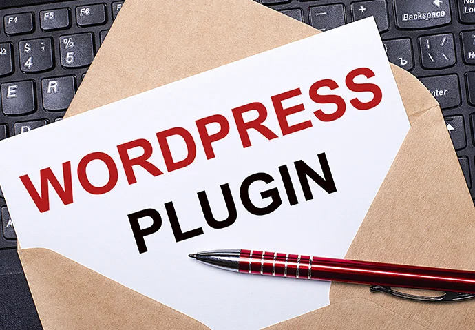 ¿Qué es un plugin WordPress y para que sirve?