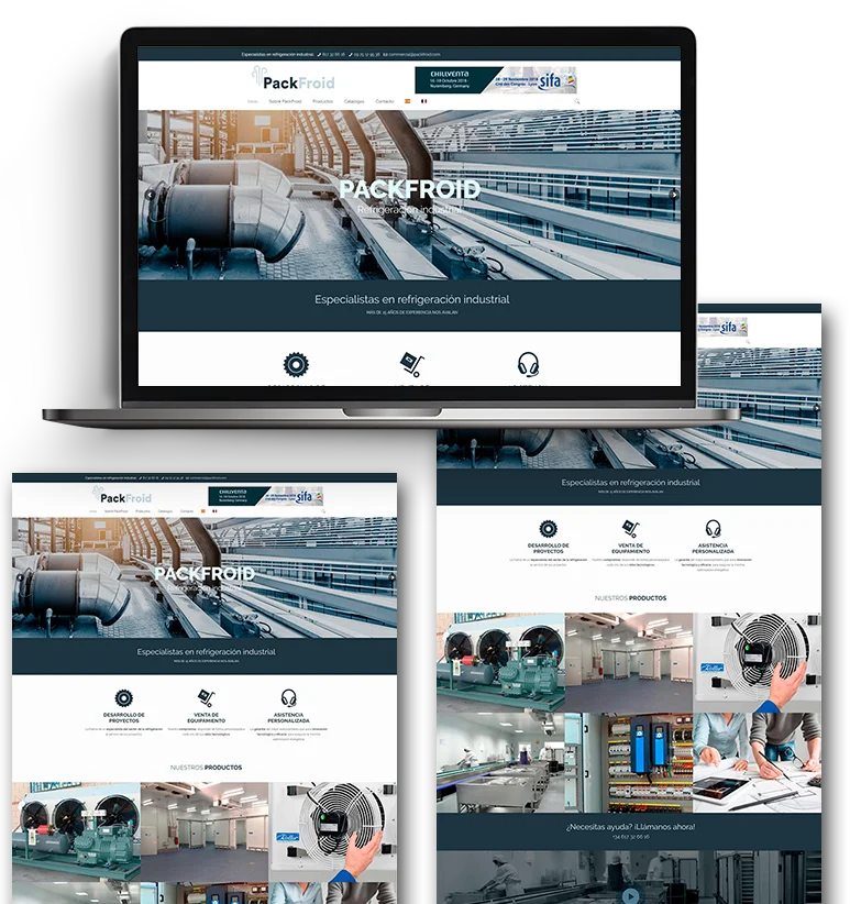 PACKFROID - Diseño Web Corporativo para Sector industrial 3